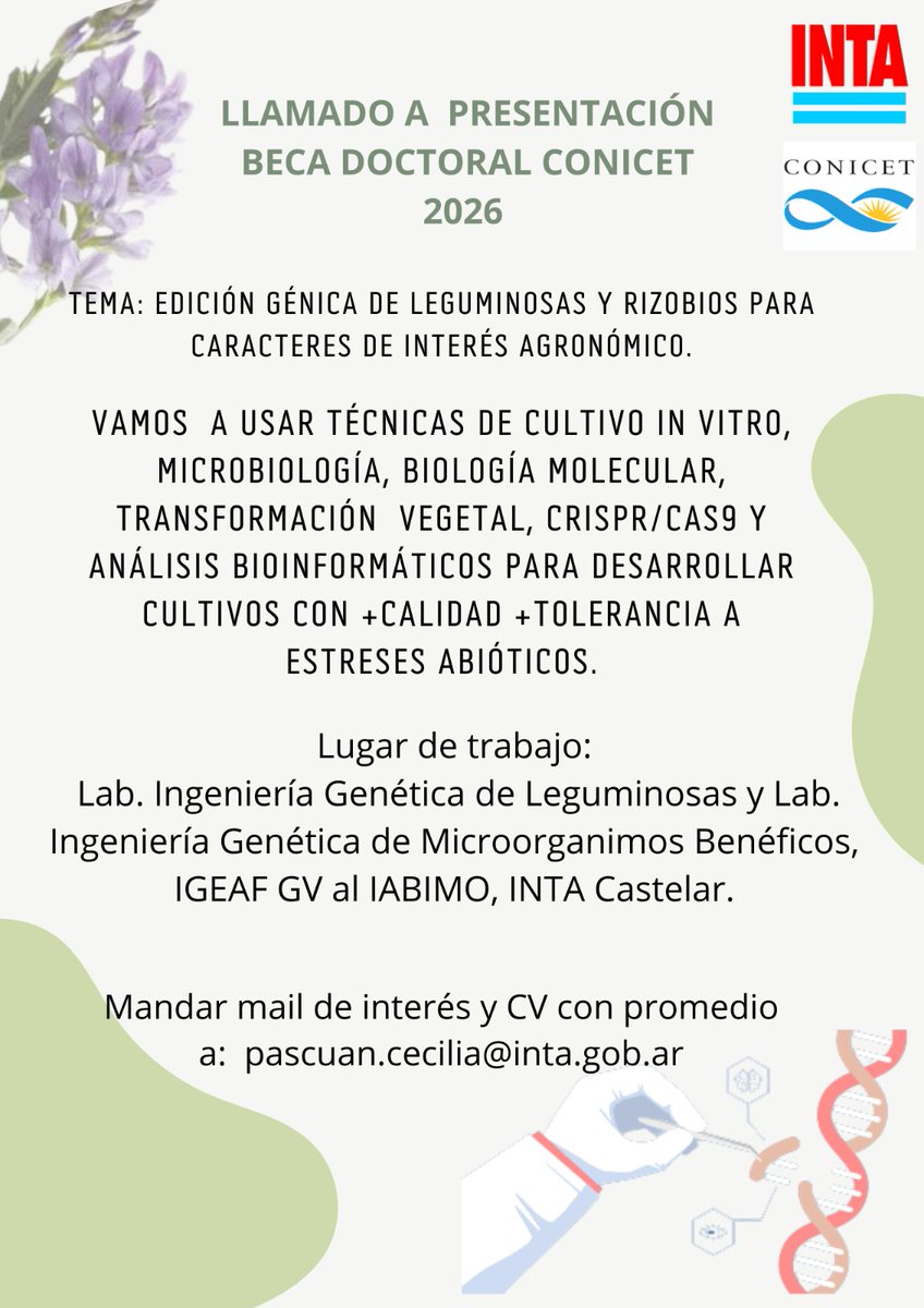 Si te gustaría formar parte de nuestros grupos, abrimos la convocatoria para presentaciones a Becas Doctorales CONICET 2026! 💚

📍INTA Castelar 
Envía tu CV y/o consultas a pascuan.cecilia@inta.gob.ar