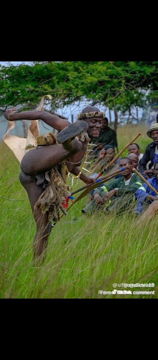Red_dyls's tweet photo. @durbangrootman @Rakgadi_EM Okay shaka zulu, keep ur country ! 
Poor xenophobic | real owners https://t.co/zxUeXpPRJ7