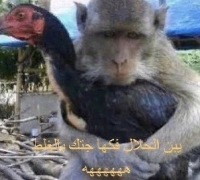 A tweet media