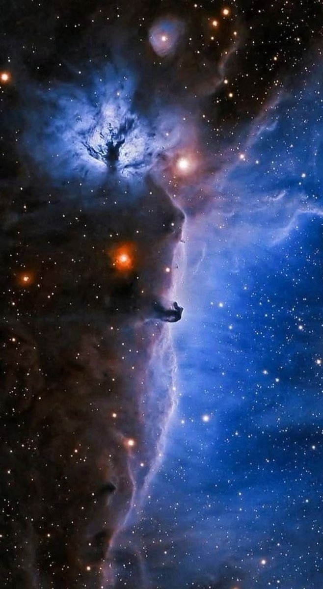 Madriles6211's tweet photo. IC434 Horsehead and flame nebula by Richard Towsdale. https://t.co/viBCf1ncDE