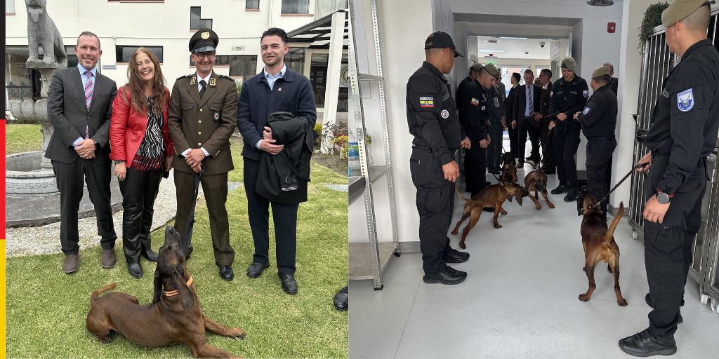 AlemaniaQuito's tweet photo. 🐾 Sabuesos de Baviera: nuevos aliados de la Policía Nacional del Ecuador 🇪🇨 
 
🐾 inauguración del proyecto: la integración del Sabueso de las Montañas de Baviera. 🐶
 
Apoyamos con la incorporación de esta versátil y poco conocida raza a la Policía Nacional del Ecuador. https://t.co/tBuRPDo7kE