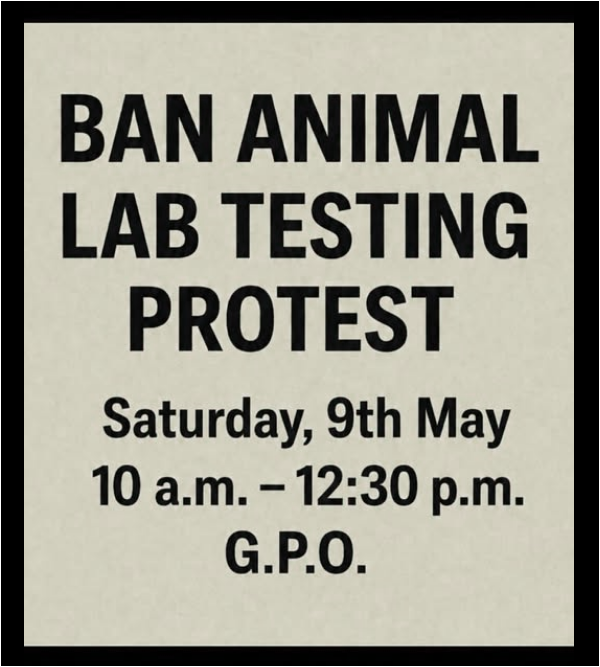 AnimalPartyIE's tweet photo. Our #BanAnimalLabTesting protest is on again tomorrow Saturday from 10am to 1230pm at the #GPO in #DublinCentral. Please, please, please come along and support this protest. We need volunteers to help encourage passer-byers to sign the petition.
#Ireland #BanAnimalTesting https://t.co/sd5mWK0C52