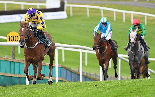 WillieMullinsNH's tweet photo. 💛💜ROC DINO💜💛 lands the Randox Maiden Hurdle @DownpatrickRace in style this evening with @PTownend aboard 🏇

Congratulations to his owners Hollywood Racing &amp; Barnane Stud, groom Sergiy &amp; our Closutton team!

📸 @patcashhealy https://t.co/s1CkBiv6Qv