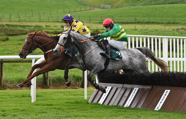 WillieMullinsNH's tweet photo. 💛💜ROC DINO💜💛 lands the Randox Maiden Hurdle @DownpatrickRace in style this evening with @PTownend aboard 🏇

Congratulations to his owners Hollywood Racing &amp; Barnane Stud, groom Sergiy &amp; our Closutton team!

📸 @patcashhealy https://t.co/s1CkBiv6Qv