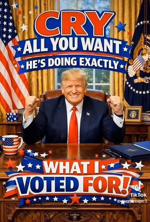 MAGA Kitty tweet media
