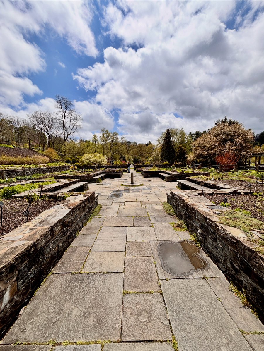 Cornell University tweet media