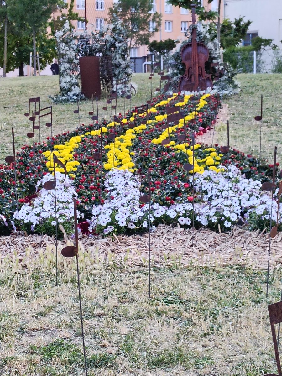 CarlesBayes's tweet photo. Ja ha arribat el Temps de flors a #Girona. Una festa molt primaveral, d'Iniciativa local i projecció internacional. A prop de la Biblioteca Pública Carles Rahola, una senyera floral decora un racó de la ciutat. Visca #Catalunya! https://t.co/DRnvfy7iEm