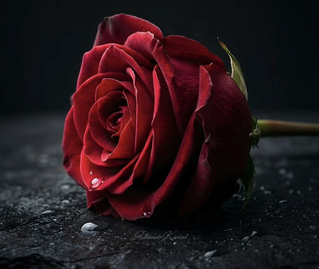 bnt_yem's tweet photo. الصداقة والحب لا يحتاجان إلى عهود وشروط وأسباب، بل تحتاج إلى شخصين رائعين....شخص يثق ٌولا خر يوفي https://t.co/GqHux7FB7i
