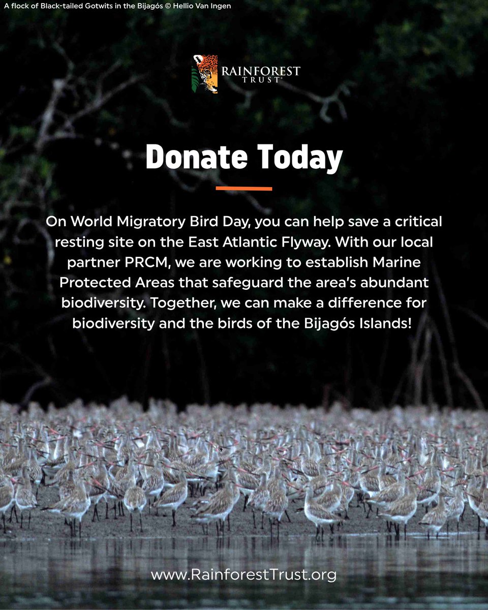 Rainforest Trust tweet media