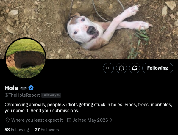 llama tweet media