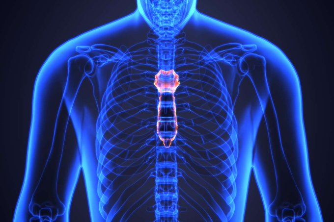 questmoosa's tweet photo. You can’t sleep.
Your heart’s racing.
And your gut feels like it’s boiling.

Everyone blames anxiety for it.
Yet it's your VAGUS NERVE.

These 7 tweaks look strange...
But they trigger the stress relief your body is begging for🧵 https://t.co/OOLVFY2zPC