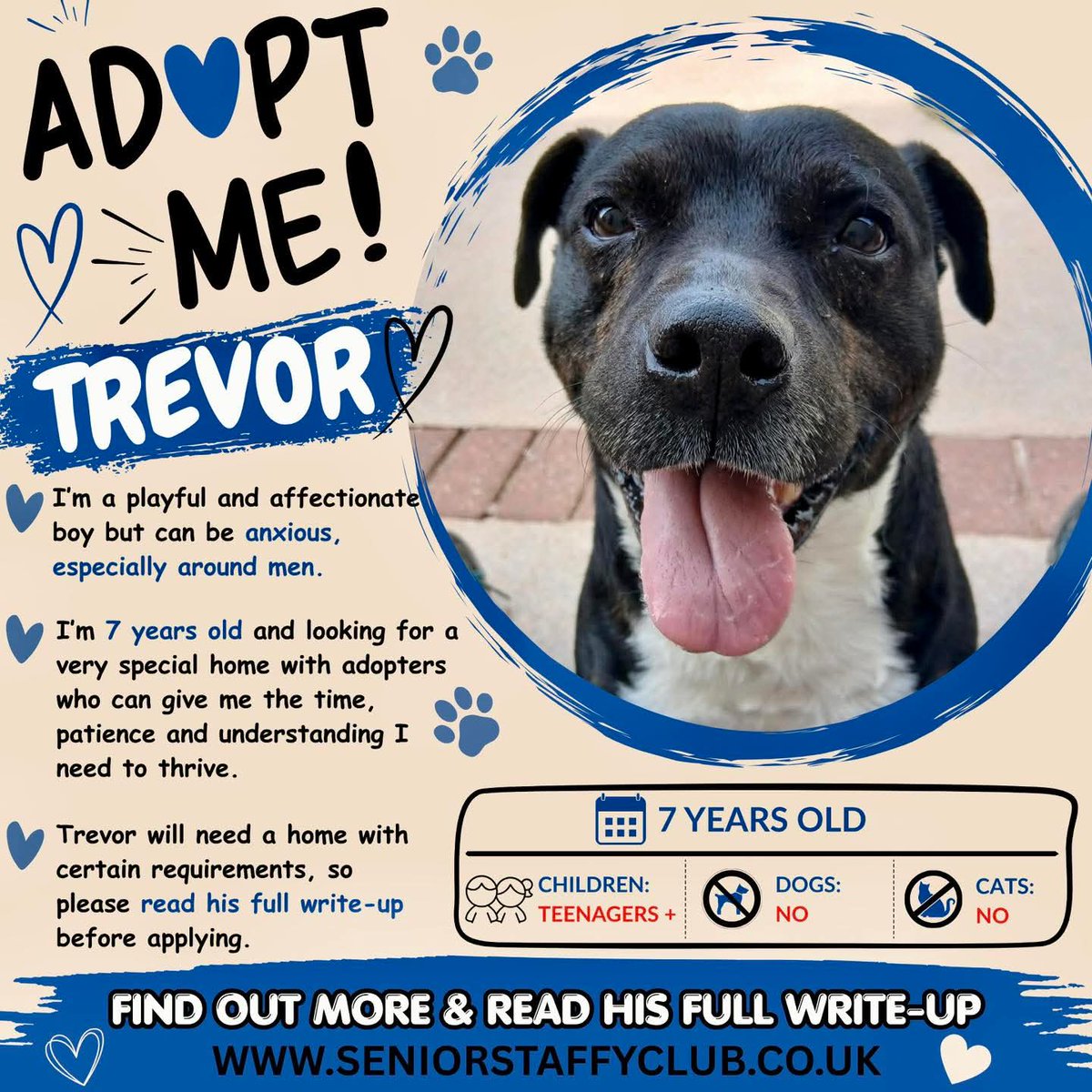 Senior Staffy Club Dog Rescue tweet media