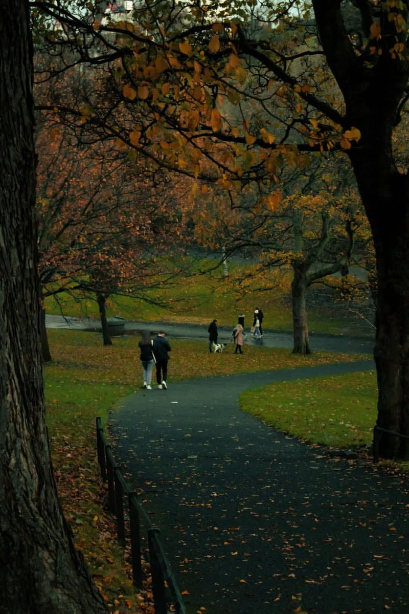 naturebeauty760's tweet photo. Edinburgh, Scotland 🏴󠁧󠁢󠁳󠁣󠁴󠁿 https://t.co/49SXj3XWix
