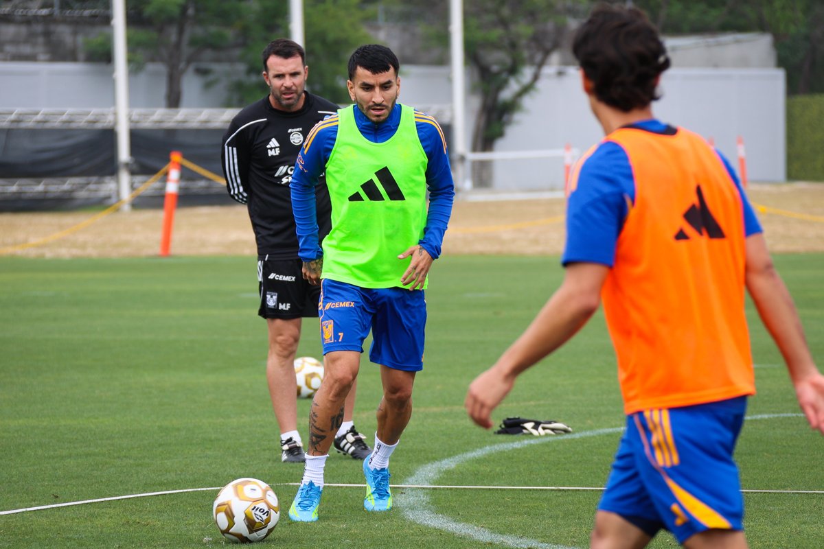 Club Tigres 🐯 tweet media