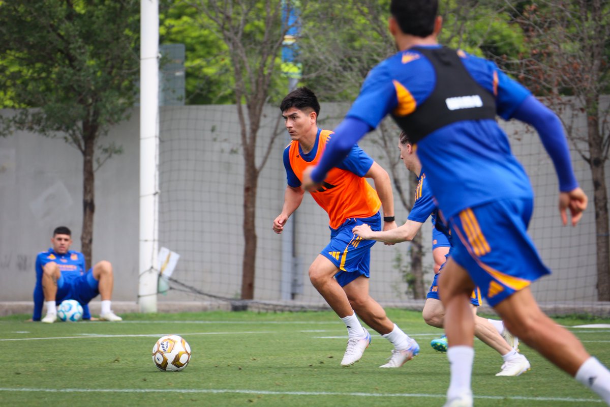 Club Tigres 🐯 tweet media