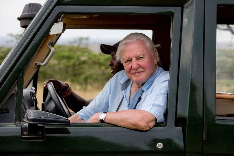 aserpasoares's tweet photo. “The truth is: the natural world is changing. And we are totally dependent on that world. It provides our food, water, and air. It is the most precious thing we have and we need to defend it.”
Sir David Attenborough celebra hoje cem anos. Obrigado. https://t.co/ECSIIDk279