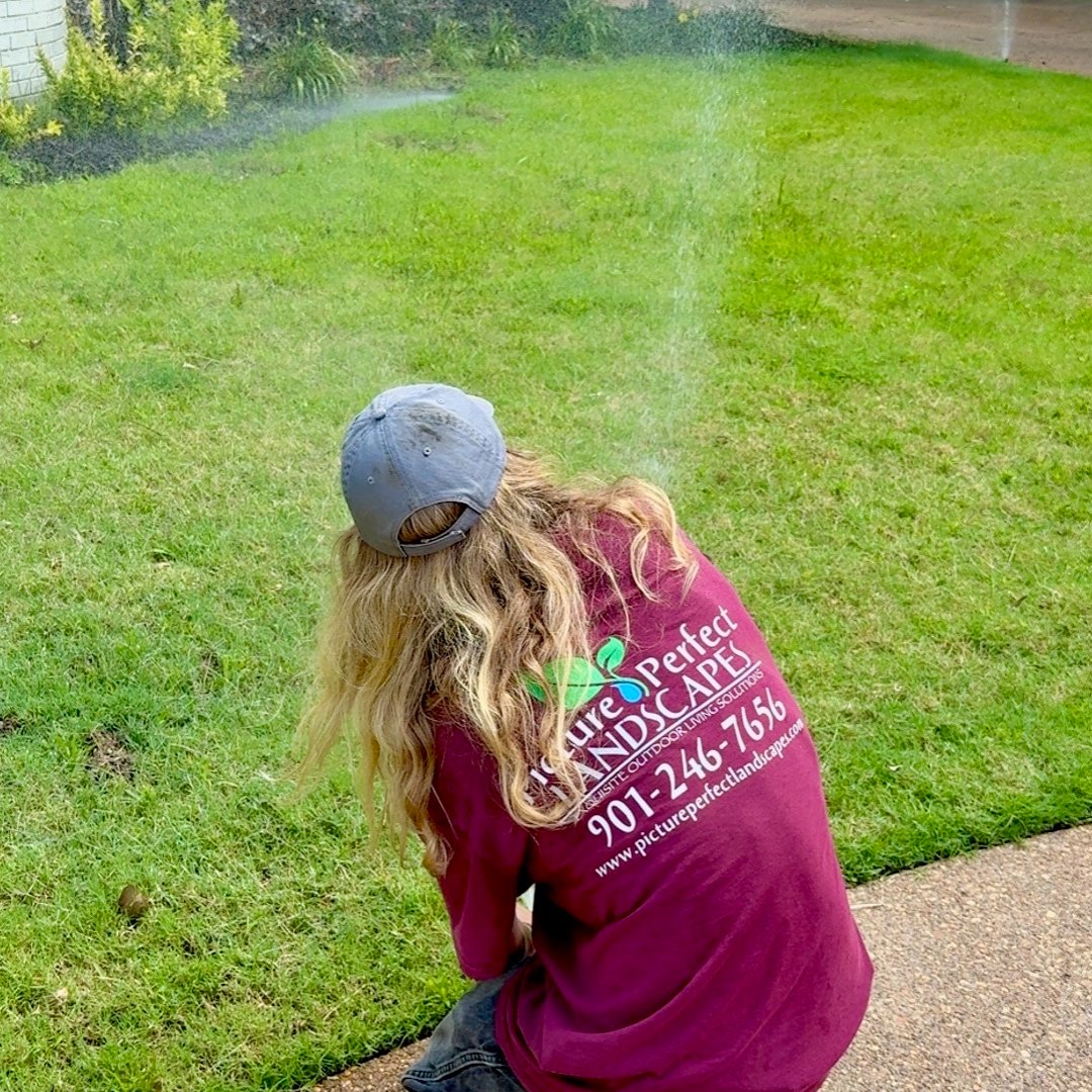 PPLANDSCAPES's tweet photo. Don't let irrigation issues dry up your dreams of lush, green grass and plants! 💧 A functioning system is their hydration lifeline. 

Share any issues you've noticed. Call (901) 446-0567 to schedule a repair.

https://t.co/9nZdTvuHok https://t.co/XanIPdhgGo