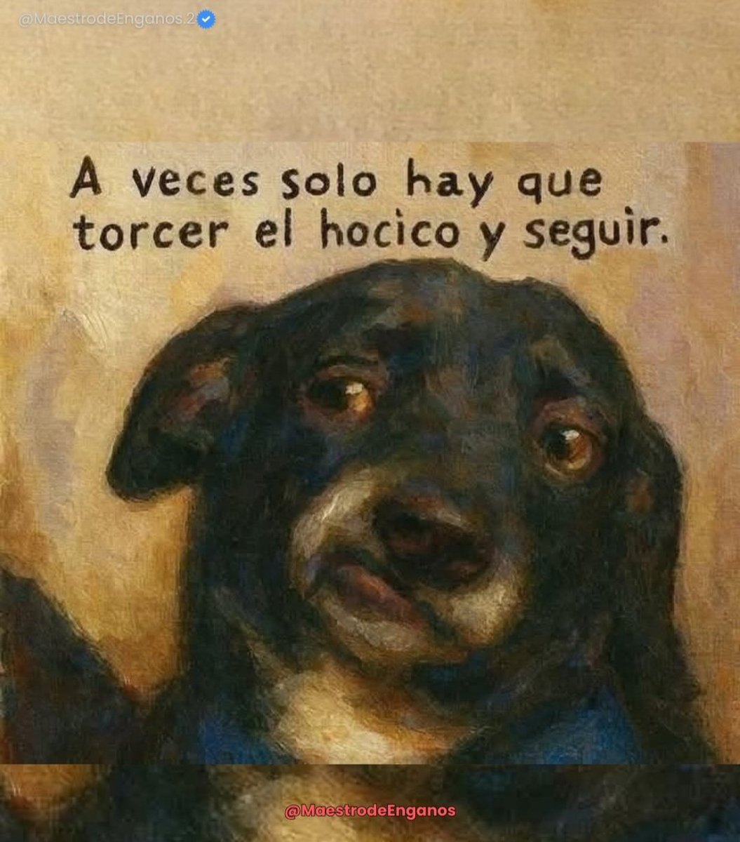 PilarHaces tweet media