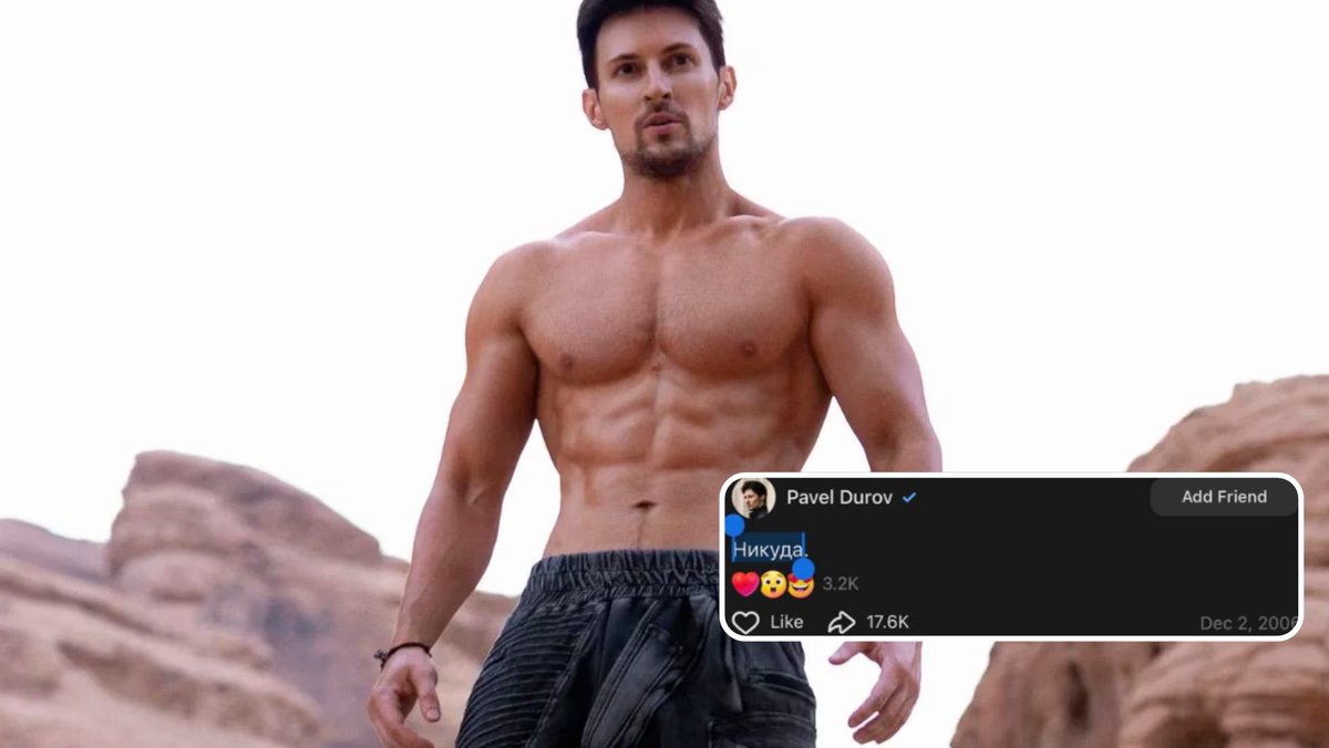 Nikuda tweet media