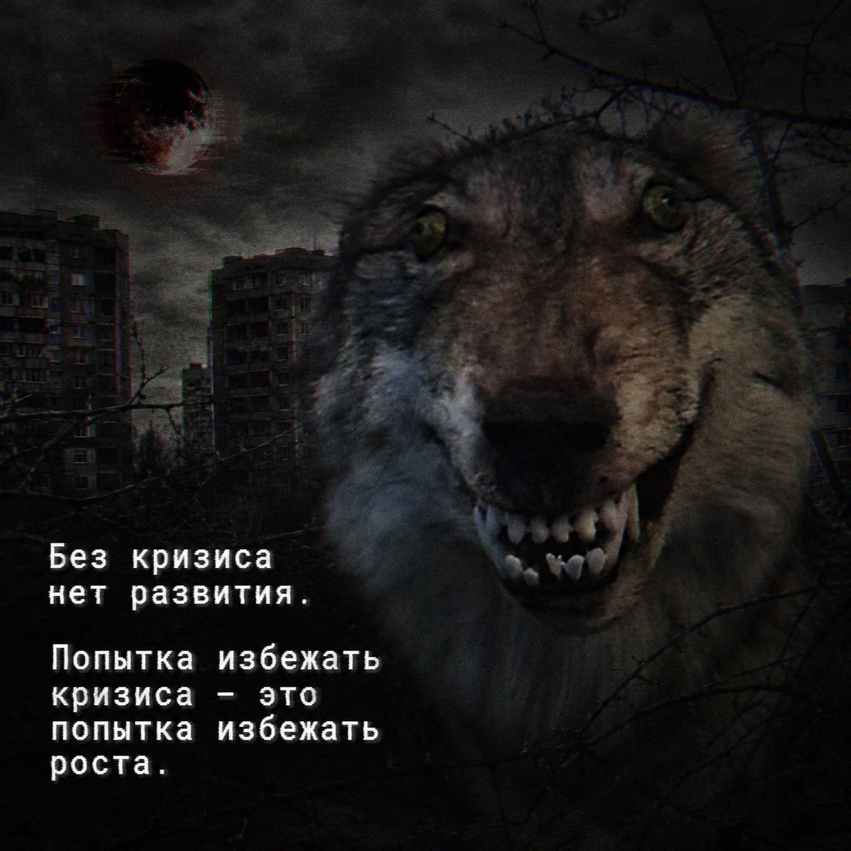 Нота Си tweet media