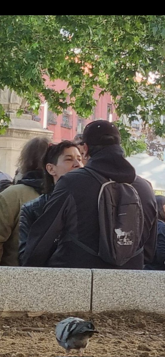 España para los españoles tweet media