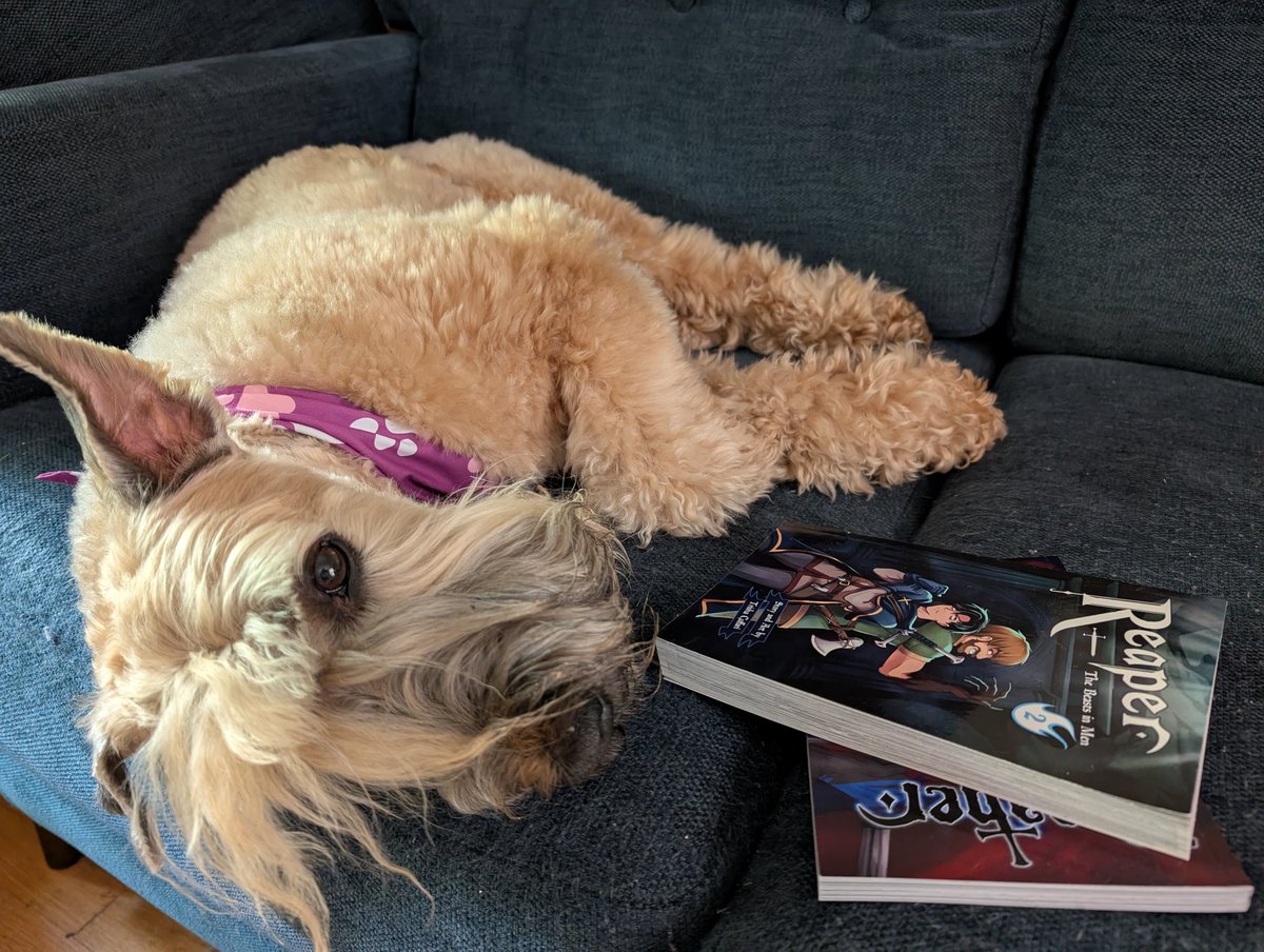 trishacuffari's tweet photo. Gurgi is fully caught up on Reaper book 1 and 2! 
Now it's your turn  🫵 https://t.co/qXsicONwXg