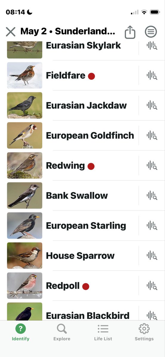 Gersummer71's tweet photo. @HowatStephen @onemantess @middy_birding @DurhamBirdClub Left my phone on garden wall with Merlin bird id on for 10m other day some cracked on there pal https://t.co/XkudnhsmSR