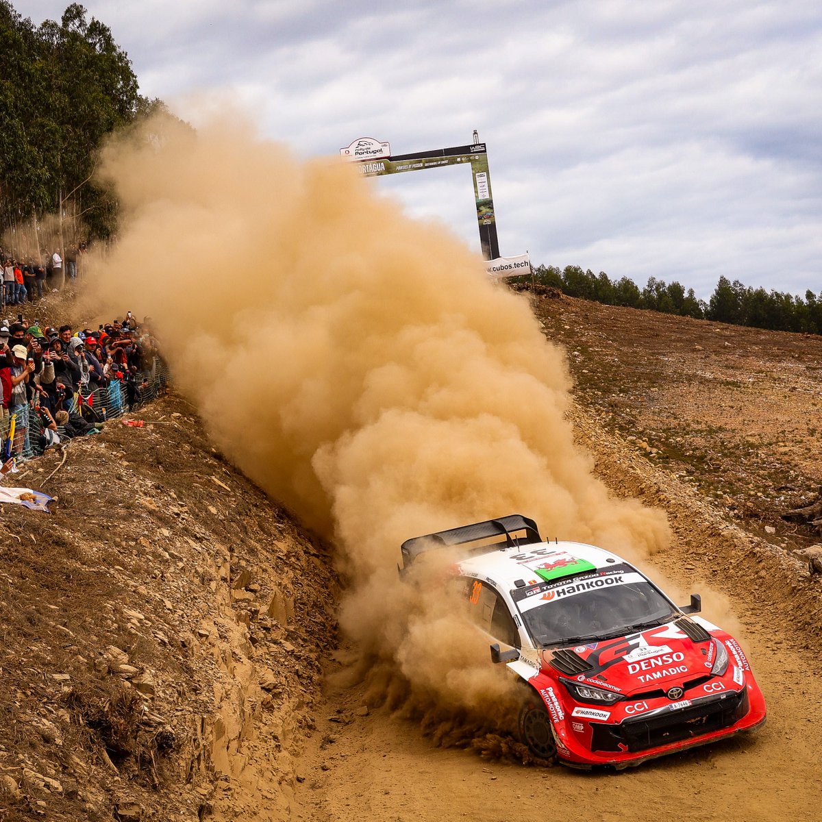 Elfyn Evans tweet media