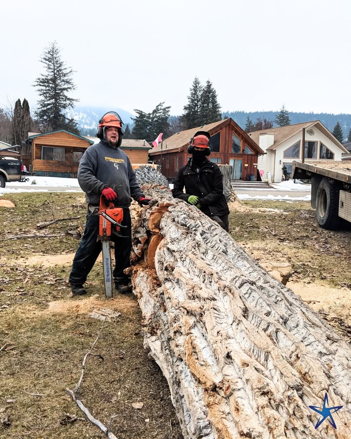 silverstartree's tweet photo. 🌲 Big Tree. Solid Crew. 🪚
Tackling heavy removals takes teamwork, experience, and the right equipment to get the job done safely.

👉 https://t.co/wexIcoHXc8

#TreeRemoval #ArboristLife #ChainsawWork #SilverStarTree #ProfessionalCrew #SafeTreeWork https://t.co/T8ZLlbF8wQ