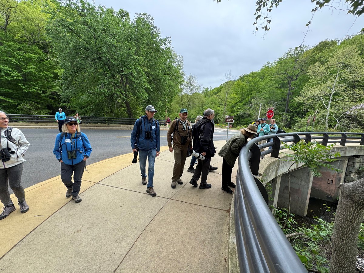 American Bird Conservancy tweet media
