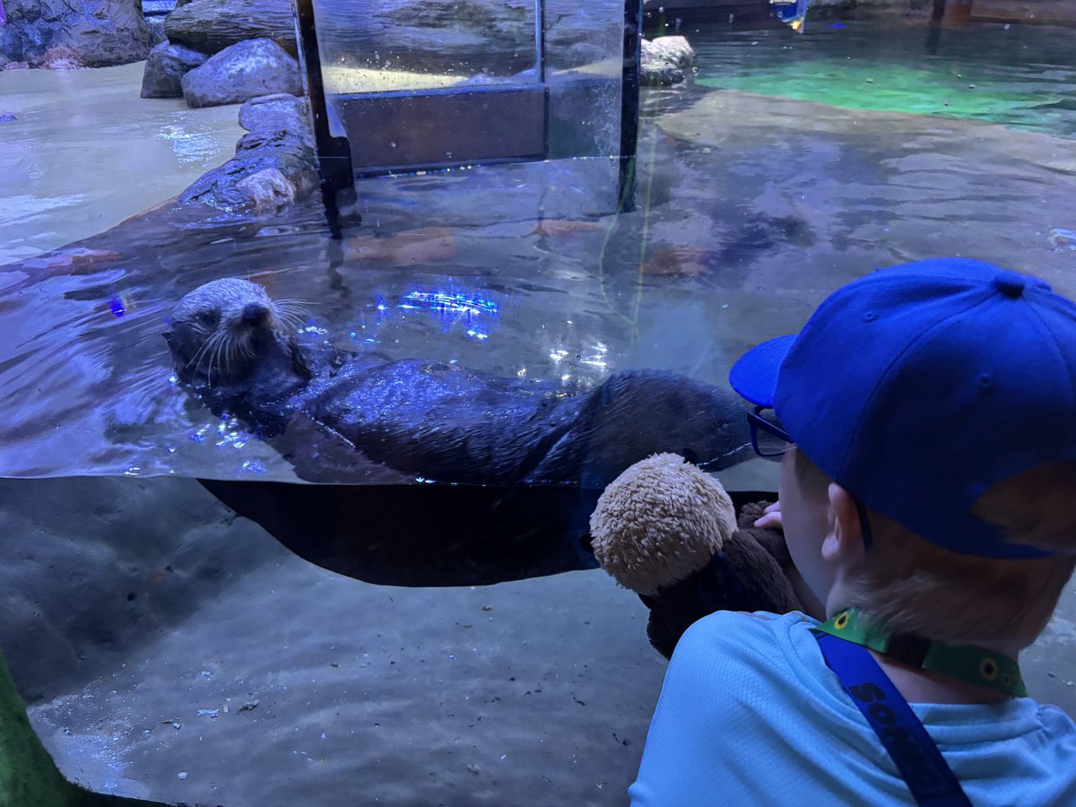 astraotter's tweet photo. @projecthailmary Hi Rocky! My son Jack absolutely loves you and said he would like to take you to see sea otters! They hold hands while they sleep so they don’t drift apart and stay safe! We think Eridians would like them 😊❤️ https://t.co/KIsckPks90