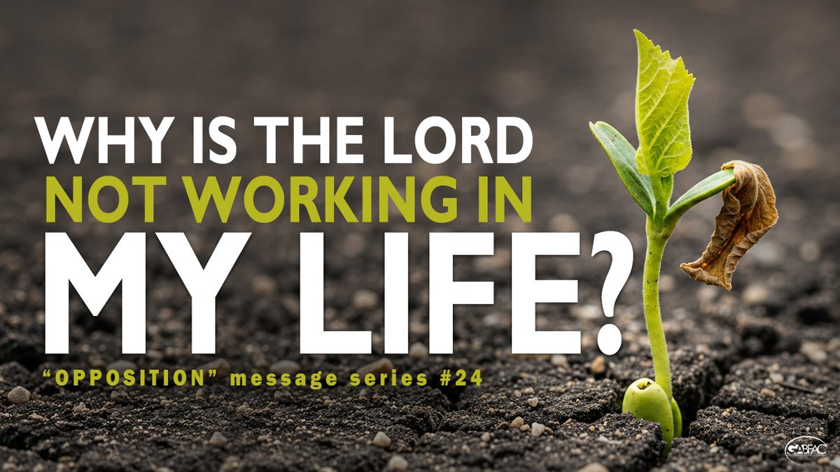 GABFAC1's tweet photo. Have you ever looked at how God was working in someone else's life, blessing them and wondered why the Lord was not quite working the same way in your life? We will look at 3 reasons He may not be working in your life. Join us this Sunday!
#gatewayareabfac #gabfac #sermonseries https://t.co/X7vVMyUvBf