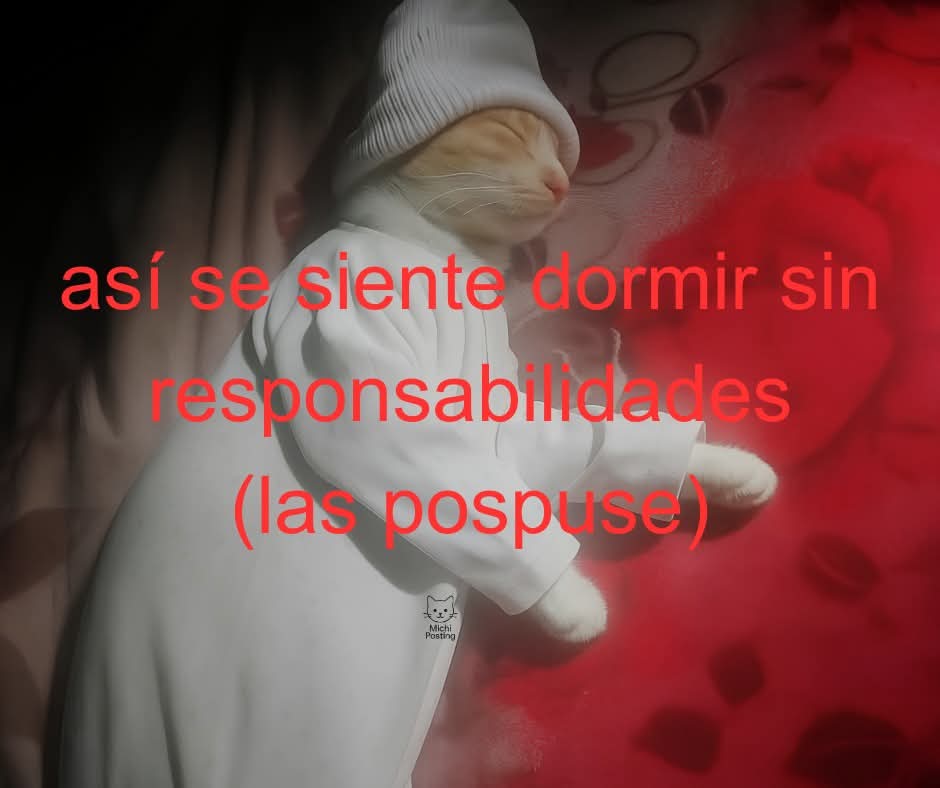 En Júpiter (@en_jupiter_) on Twitter photo 