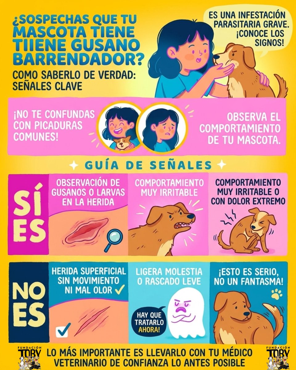 🚨 ⚠️ ATENCIÓN: DUEÑOS DE MASCOTAS (Y GANADEROS) ⚠️ 🚨

¿Sabes identificar las señales del Gusano Barrenador? Esta infografía es VITAL para la salud de tu animal. No es solo una picadura; es una emergencia sanitaria que se propaga rápido.

👇 Aquí te explicamos QUÉ BUSCAR y qué