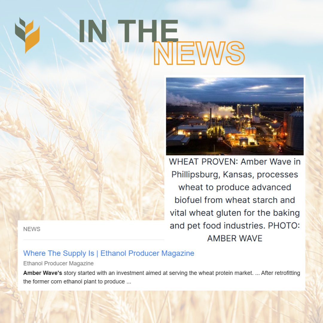 Amber Wave tweet media
