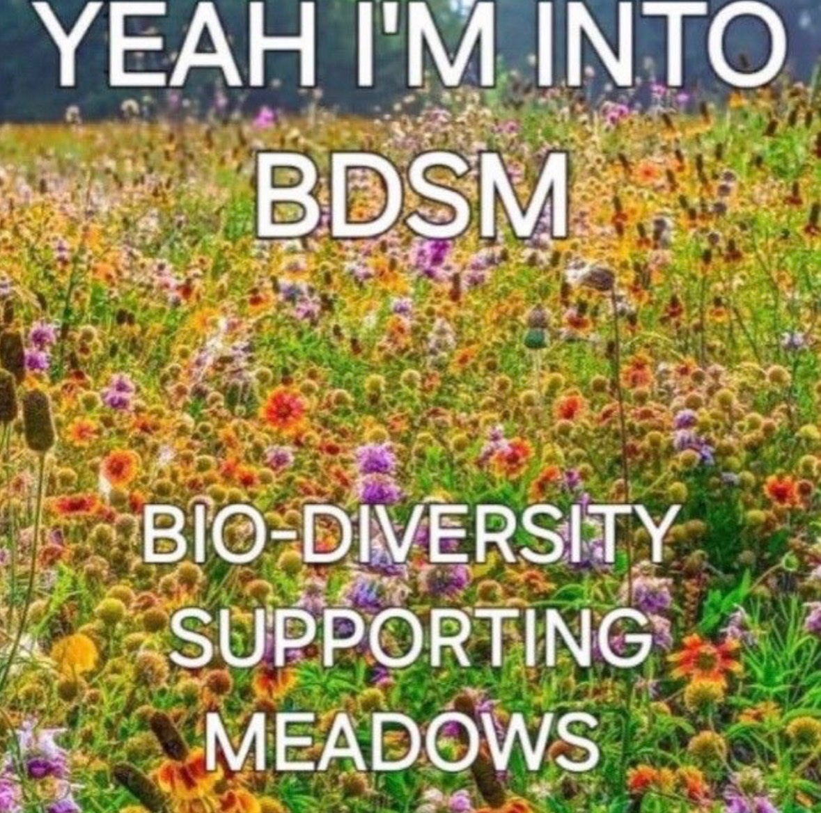 Respectful Memes (@respectfulmemes) on Twitter photo 