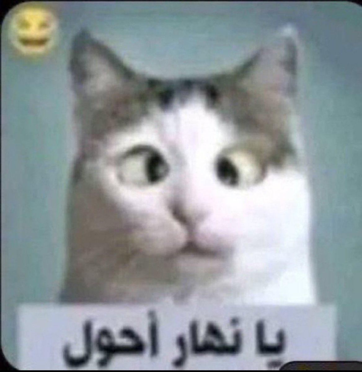 ipimxv's tweet photo. قلبوها https://t.co/7bGwdDGkDP