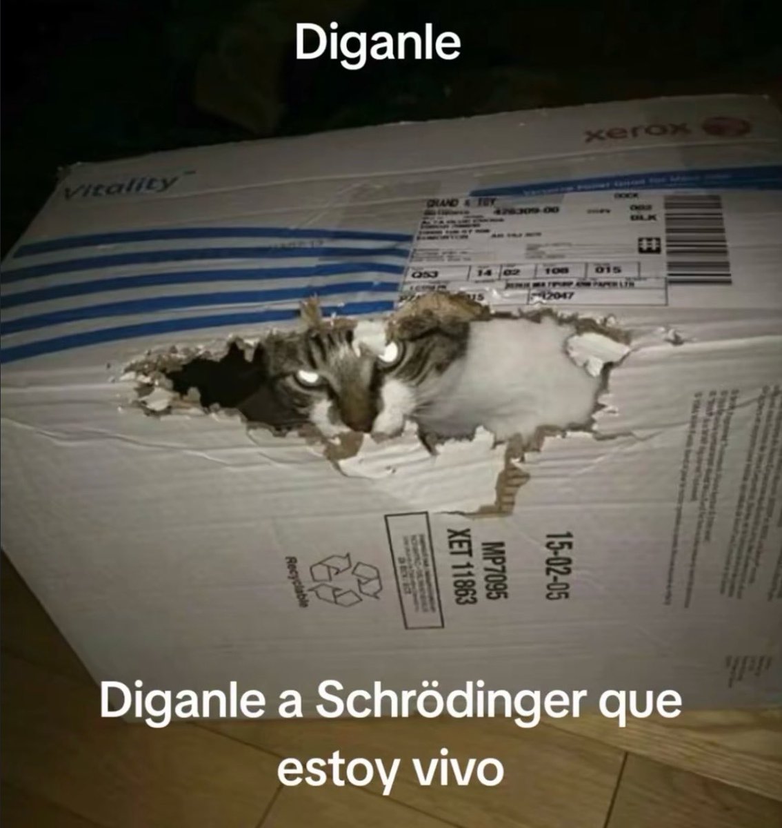 piña sin pizza tweet media