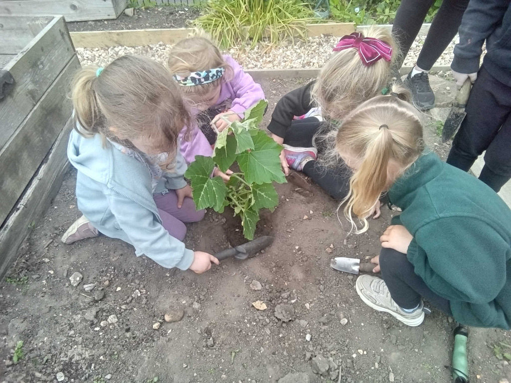 PreMilford's tweet photo. Today we planted out our fabulous Tromboncino into our allotment! The children are fascinated by anything new and we are excited to watch it grow! Thank you do much Gill  @Lussas from the brilliant #Penningtonallotment #EarlyYears #EarlyYearsgardening https://t.co/XbfgCS2Ch4