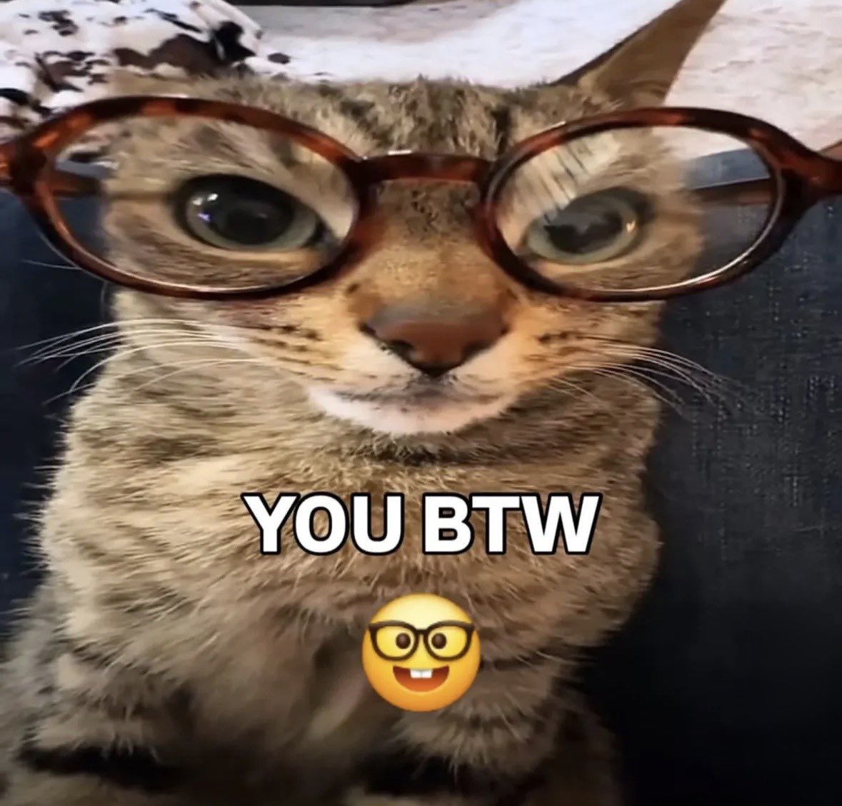 raccoonesthetic's tweet photo. https://t.co/Vp4jnw2koa