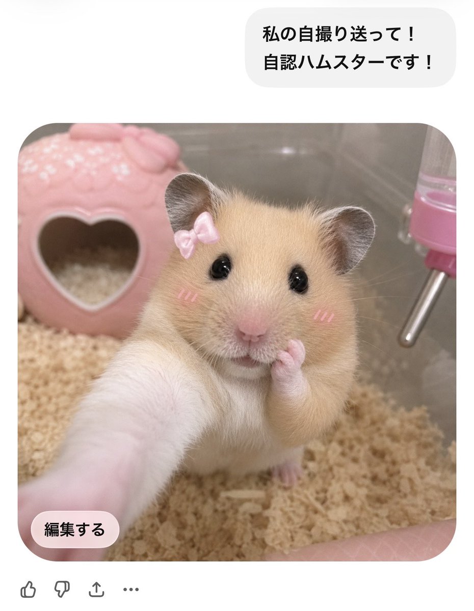erina tweet media
