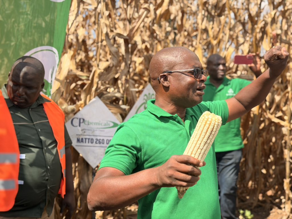 ForwardMakasi1's tweet photo. Today we had a productive day of engaging with farmers and different stakeholders from across Mashonaland East Province at the SeedCo Provincial Field Day held at Mudoti Farm, Charter Estates, Chikomba District. The host farmer expressed strong satisfaction with the performance of #CPChemicals products #Natto #VoltStar #ElegantStar etc in effectively controlling weeds and Fall Army Worm(FAW) in the maize crop that was being showcased. 
#CPChemicals@20
#Farmers’firstchoice
