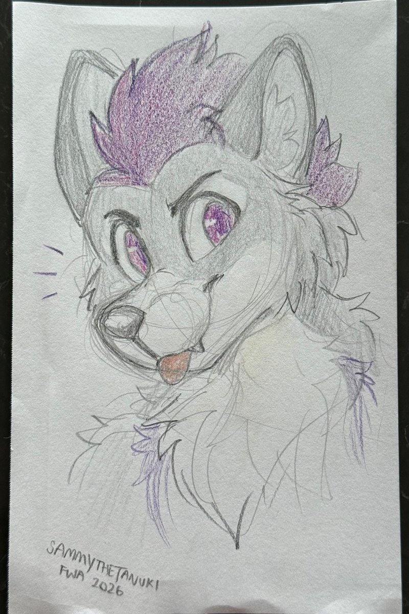Stormchsingwolf's tweet photo. Picked up a little sketch from @SammyTheTanuki in the Dealers Den. 

I love getting traditional sketches at FWA. Look at how cute I am!! I’m head over heels for this. 😭😭😭 https://t.co/nhV9iTIsmY