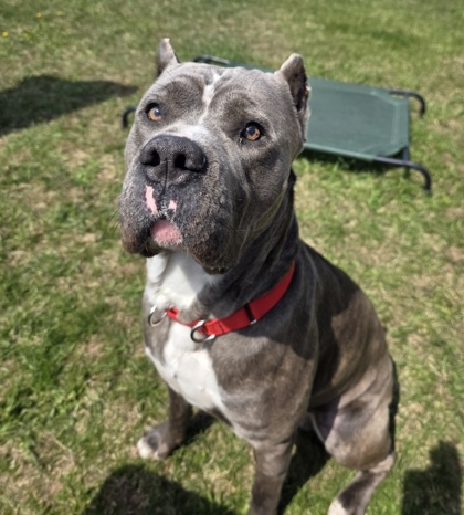 Wisconsin Humane Society tweet media