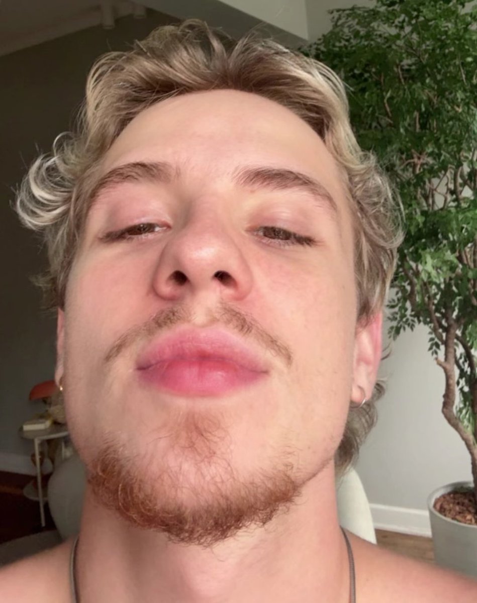 gus tweet media