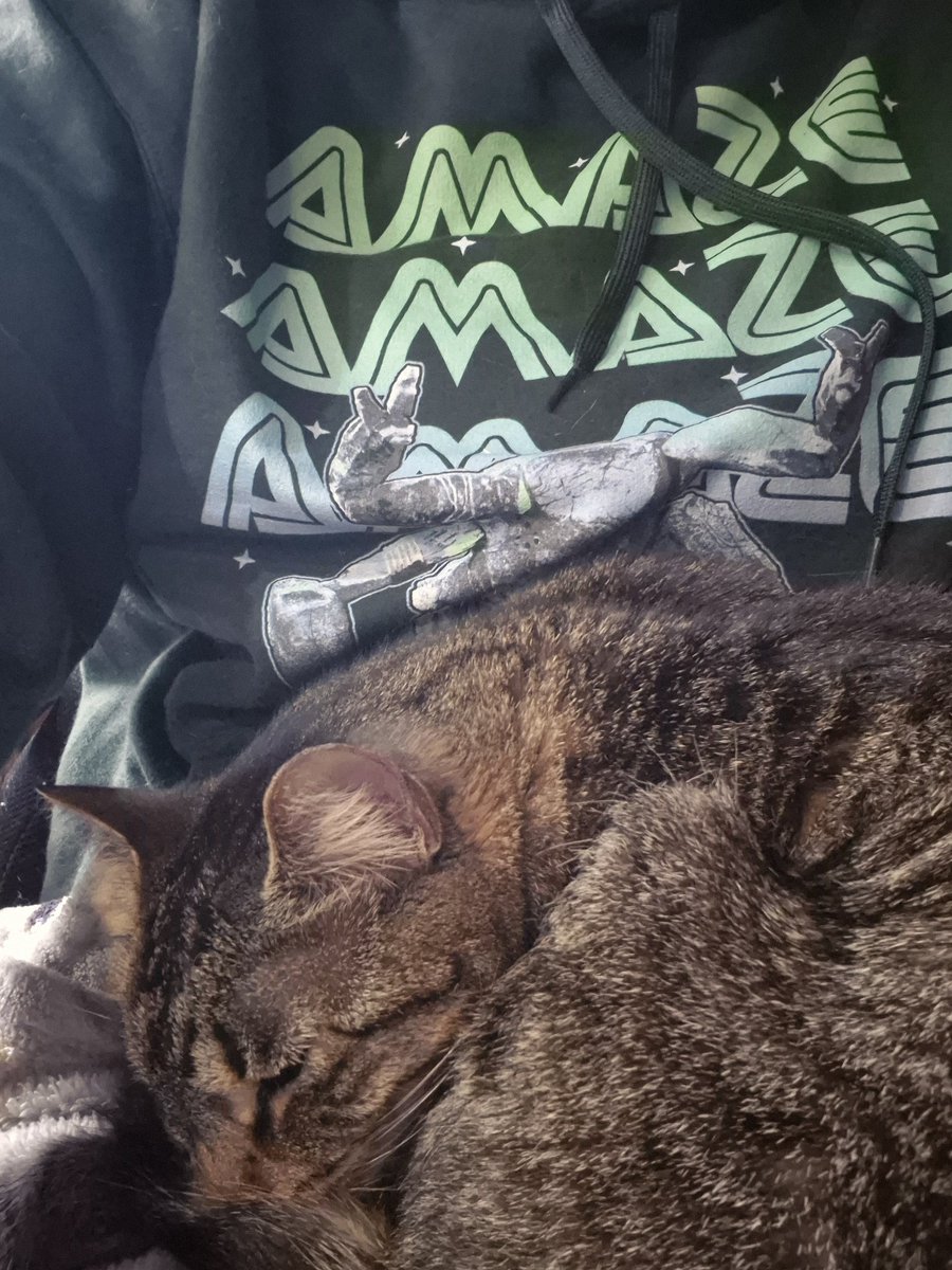 divepro1's tweet photo. @projecthailmary Earth cat snuggled with favourite #rocky sweatshirt  ❤️ https://t.co/uyu3gRramN