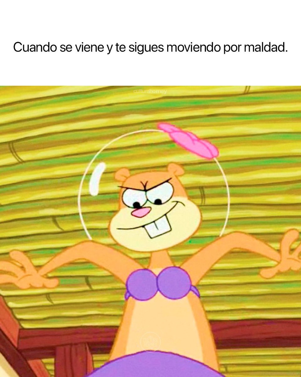 Cultura Horney tweet media
