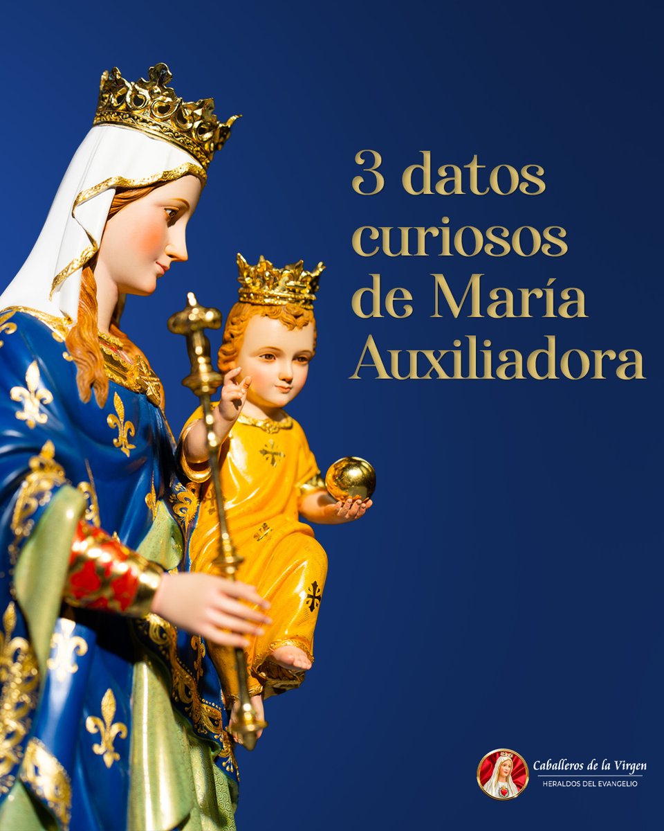 Caballeros de la Virgen - Ecuador tweet media