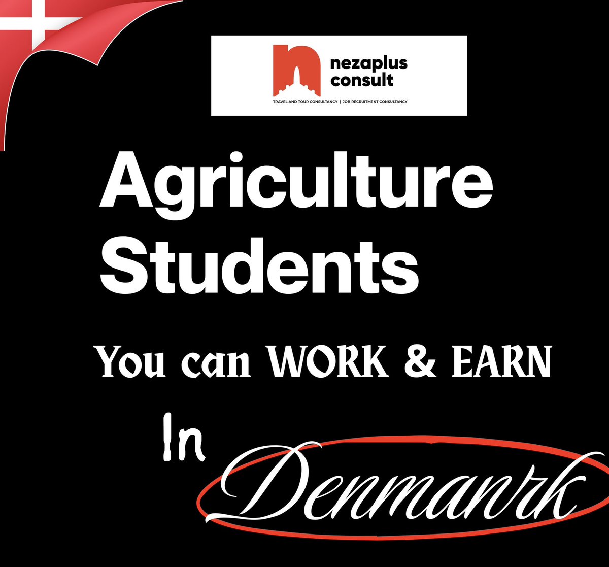 JobsHubGh's tweet photo. 🇩🇰 AGRICULTURE STUDENTS — WORK & EARN IN DENMARK

A structured Livestock Internship opportunity is available for Agriculture students looking to gain international experience while earning a monthly salary.

✔️ €1,600 – €2,450/month
✔️ Up to 18 months
✔️ Accommodation available
✔️ International exposure

Eligibility:
📌 Agriculture students only
📌 Age: 18–29 years
📌 IELTS General score: 3.0+

Apply through NezaPlus Consult (@Nezaplus25 )

WhatsApp Only: +49 176 6930 7502

Send them a message today to get started.