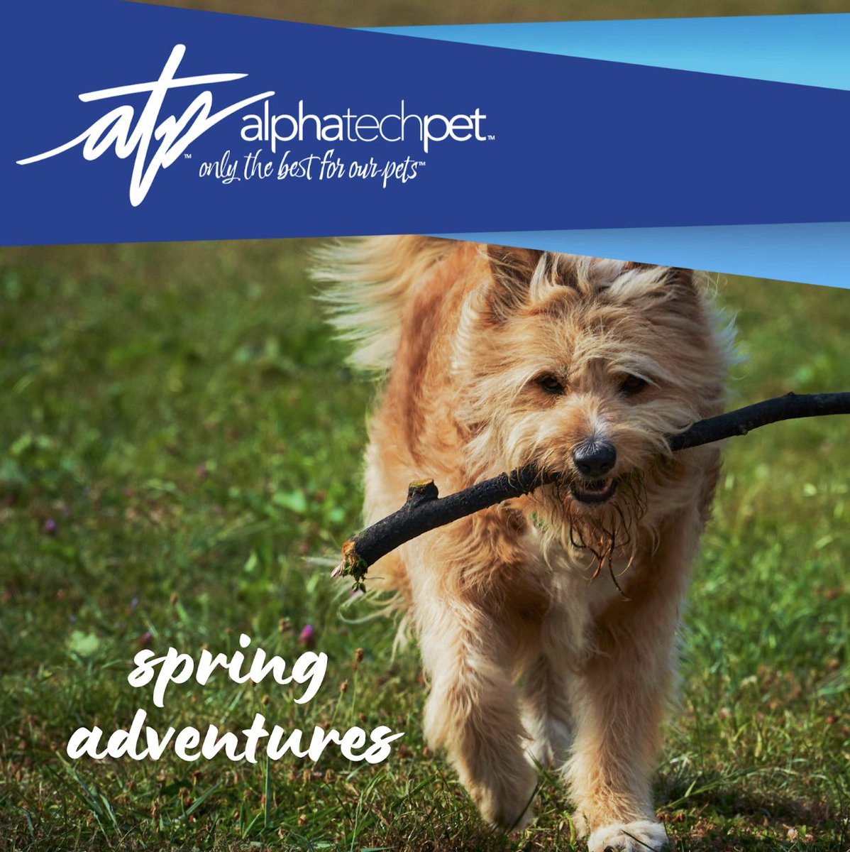 AlphaTechPetInc's tweet photo. Spring adventures = muddy paws, wagging tails, and happy hearts. We’ll handle the mess because your pet deserves the very best. Eliminate stains &amp; odors fast with OdorPet®: https://t.co/mhyecp8Kln #MessyMoments #PetCleanup #SpringCleaning https://t.co/vpKdx4feX1